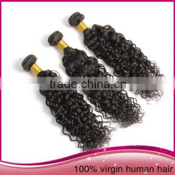 Tangle Free High Quality Unprocessed Brazilian Human Hair Afro Women Water Wave Hair Extension photo-5