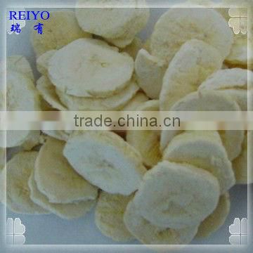 FD banana fruit in China 2013 brand 10kg/ctn famous