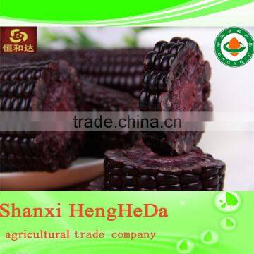 China Supplier as Gift for Child Yellow Waxy Corn photo-2