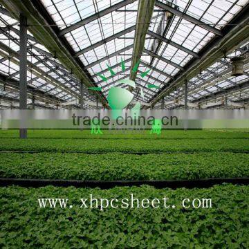 agricultural greenhouses for tomato