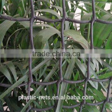 Plastic Mesh/plastic Screen Mesh photo-2