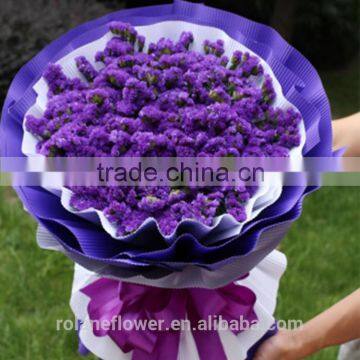 Supply Gypsophila Million Stars Cutting New Gypsophila With 1kg/bundle From Yunnan, China photo-6