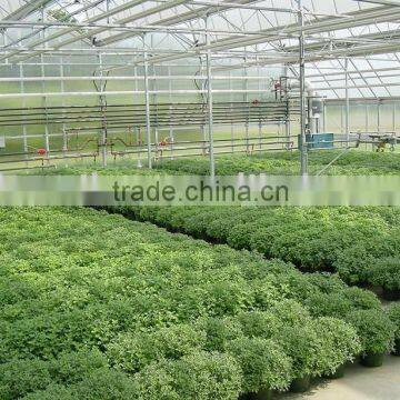 Vegetable-growing Greenhouse-commercial Greenhouses photo-2
