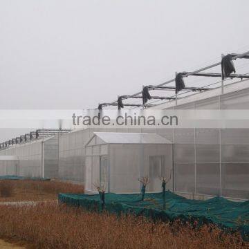 PC Sheet Greenhouse photo-2