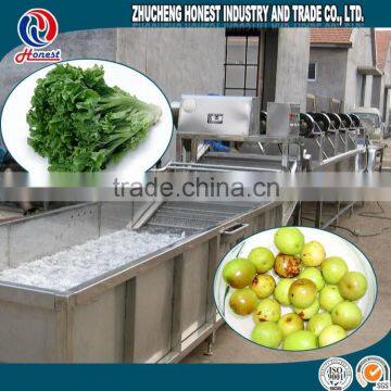 best price Latest fruit and vegetable air bubble washing machine