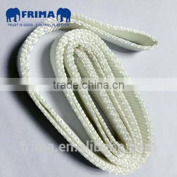 WLL750KGS,1M/2M,Polyester Endless Webbing Sling