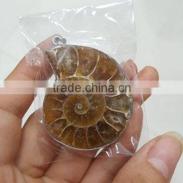 Pretty Ammonite Fossil Slices Pendants Jewelry