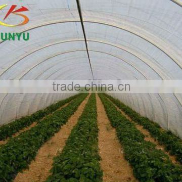 Economical UV plastic tunnel greenhouse