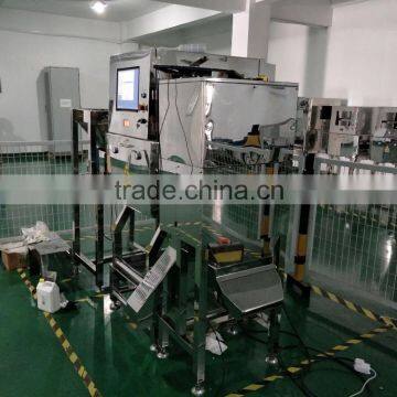 Food X-ray Metal Detector for Loose Raisins photo-5