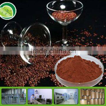 Hiht quality grape seed extract proanthocyanidins 95%
