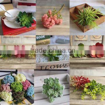 Assorted designs Indoor Outdoor Home House Wedding Wall decor garden mini artificial succulents wholesale