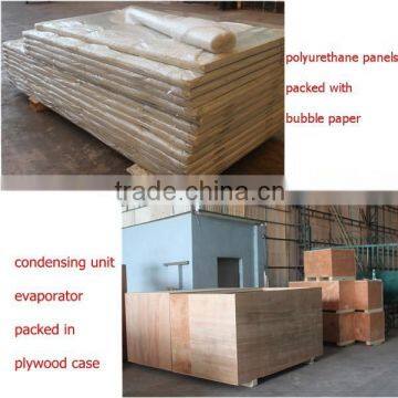 Polyurethane Insulation Door With Double Handle for Cold Storage Room photo-4