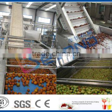 Dates Production Line photo-3