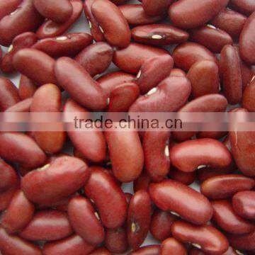 DARK RED KIDNEY BEANS