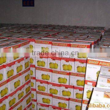 Europe quality level honey pomelo