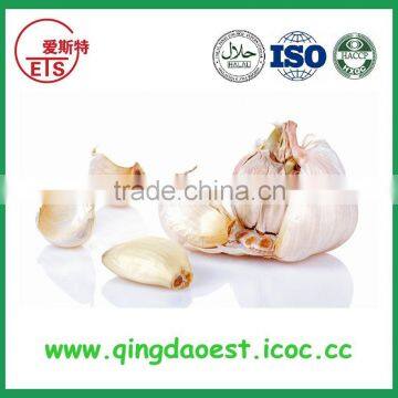 Jinxiang Fresh Best Price Normal White Garlic on Sale photo-3