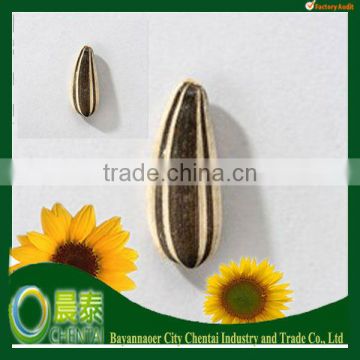 Round Shape Striped Specification For sunflower seeds