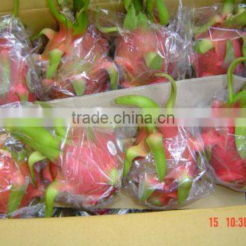 Fresh Dragon Fruit White Flesh Vietnam photo-6