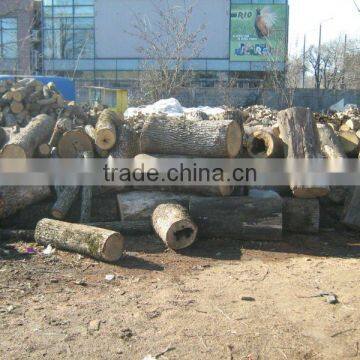 FIREWOOD LOGS oak,beech,hornbeam