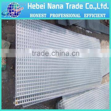 Cheap Electro Galvanized Welded Wire Mesh From China photo-2