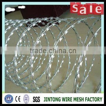 Price Concertina Razor Barbed Wire With Pallet photo-5