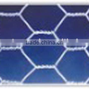 hexagonal wire mesh