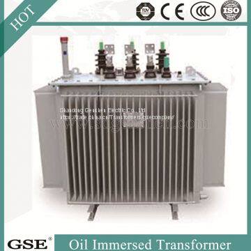 Oil Immersed Saving Energy Transformer/Power Transformer With ISO, TUV and CE Standard photo-3