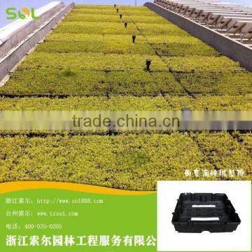 PP Plastic Black Sqaure shaped Module for Vertical Garden Rooftop