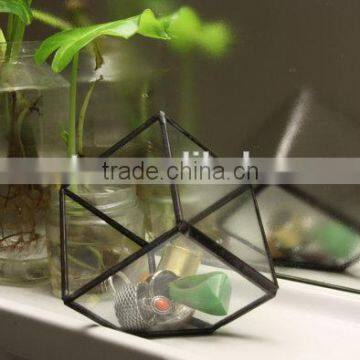 Stained Glass Small Cube Airplant Cactus Terrarium