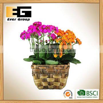 Imitation Water Hyacinth Square Box Flowerpot Hand Woven Garden Planter photo-5