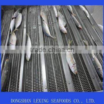 Frozen IQF Horse Mackerel Fish photo-2