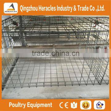 Factory Price Trade Assurance Cages Chicken Equipment Poultry Equipment photo-3