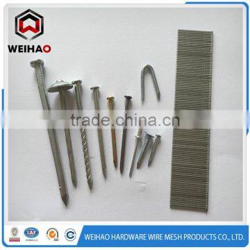 Manufacturers of Umbrella Head Roofing Nails 9G 2.5" photo-5
