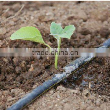 Crops Drip Tape /Plastic Dripline for Watering /plastic Drip Tubes photo-6
