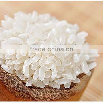 Instant Green Bean Vermicelli photo-2