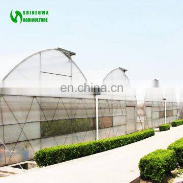 Low Price Plastic Film Greenhouse Equipment with High Quality