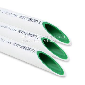 Hot Sale High Resistance Temperature Plastic PPR Pipe Tube photo-2