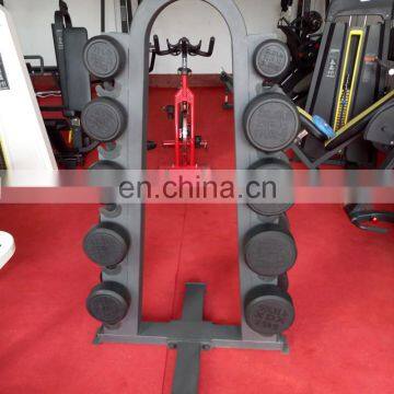 Standing Dumbbell Rack Set Weight Lifting Tree Dumbbell Rack SE64