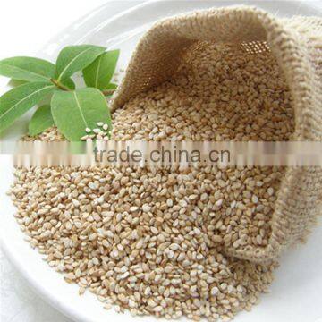 organic white sesame seeds specifications