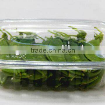 Stylish clear food box.plastic fruit container.plastic square food box .factory direct plastic food box