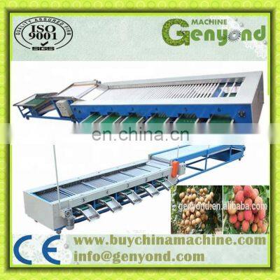 CHINA Factory Fruit and Vegetable Processing Line Food Processing Machine Canned Fruit Vegetable photo-4