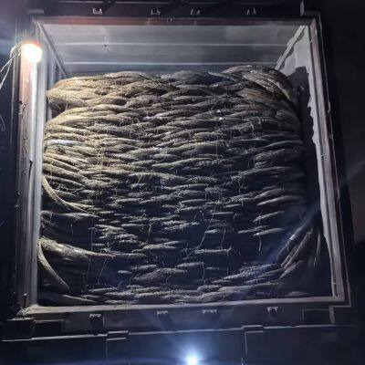 0.5mm-4.0mm Diameter Black Annealed Iron Wire in Coils photo-2