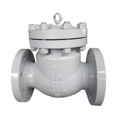 New Product API600 API6d Wcb Check Valve Stainless Steel 150lb 300lb Check Valves Full Port Check Valves for Oil Gas photo-3