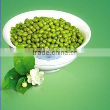 Crop 2010 Green Mung Bean