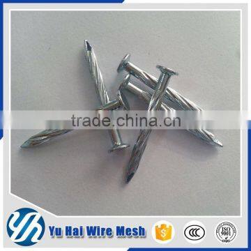 China Umbrella Head Roofing Nailsdirect From Factory Supplier's Choice photo-5