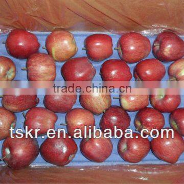 apples fresh red huaniu apple from china