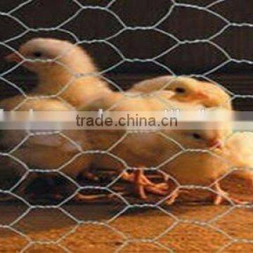 high quality chicken coop hexagonal wire mesh, dog kennel hexagonal wire mesh