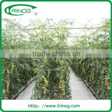 NFT Hydroponics Cultivation System for Herbs photo-4
