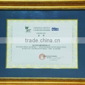 The position of Consultative Category 1 by the ECO