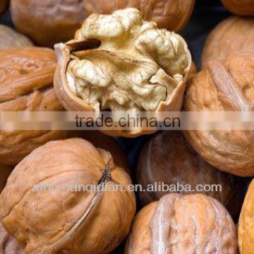 100% pure walnut oil